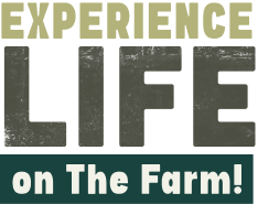 Experience Life on the Farm