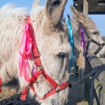 Additional Needs - World Autism Awareness Week
