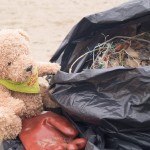 Environment - Beach Clean