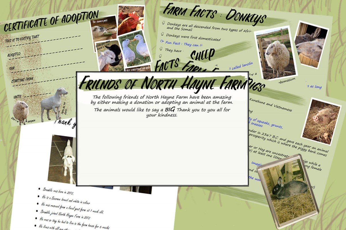 Friends of North Hayne Farm