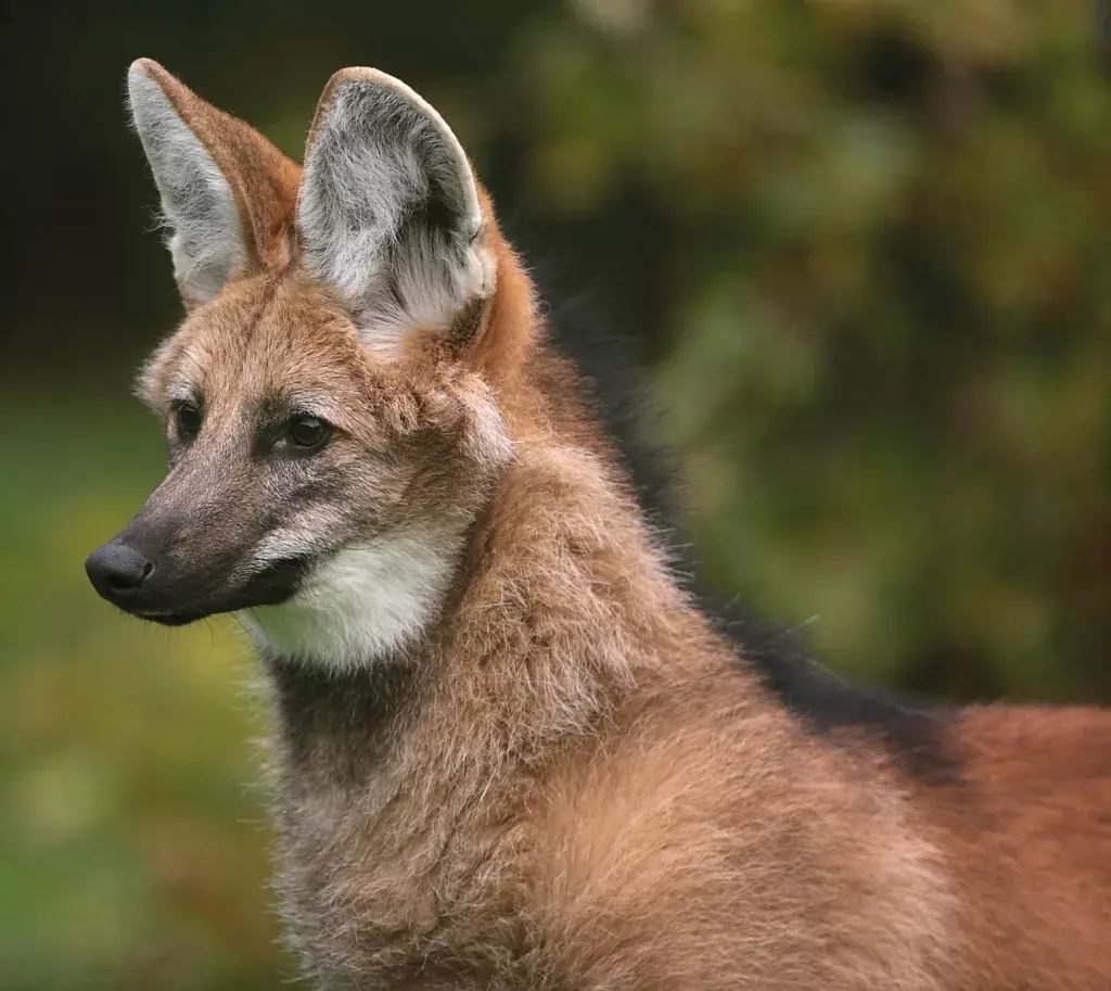 Exmoor Zoological and Conservation Centre