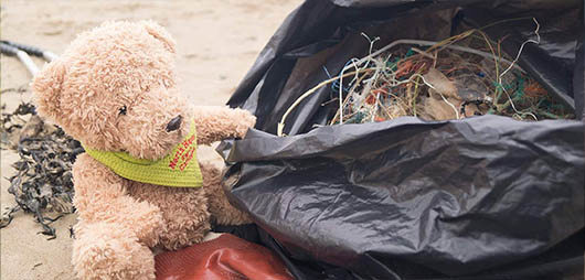 Beach Clean Up with Teddy