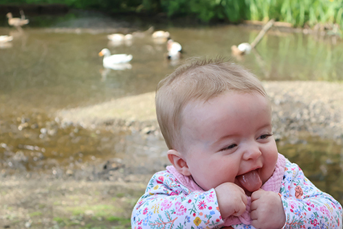 Baby friendly holidays