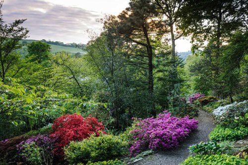 RHS Rosemoor