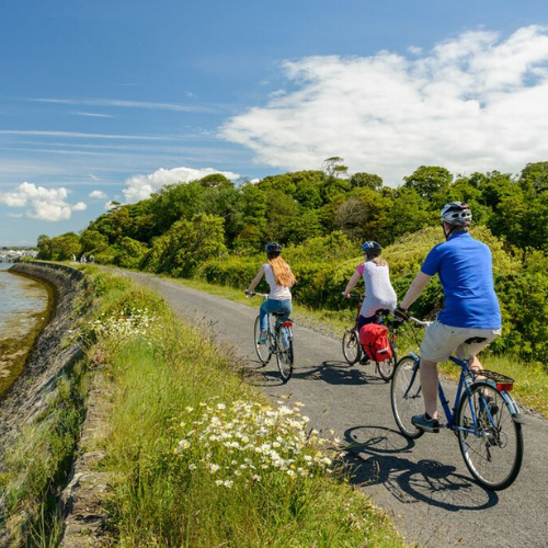 Tarka trail cycle routes