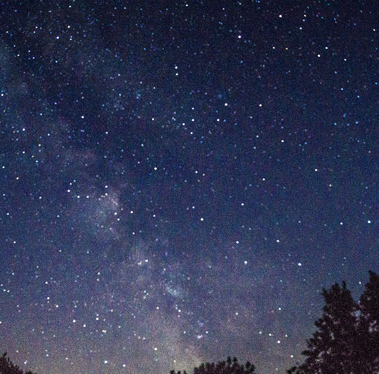BBQ and Stargazing Lodge